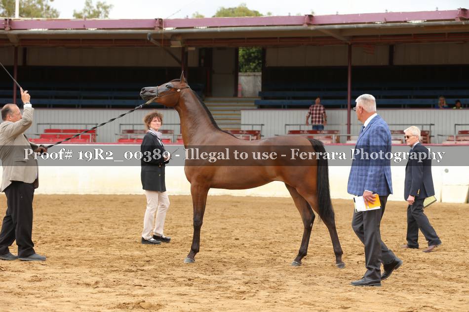 Proof 19R2_00389