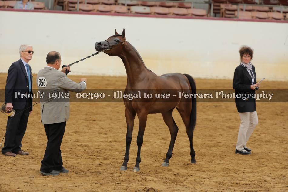 Proof 19R2_00390