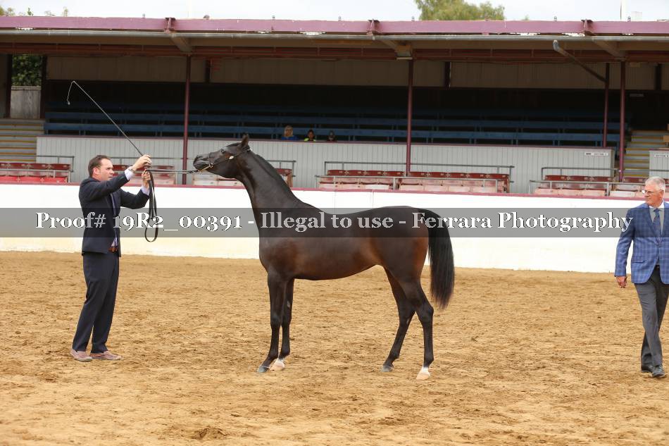 Proof 19R2_00391