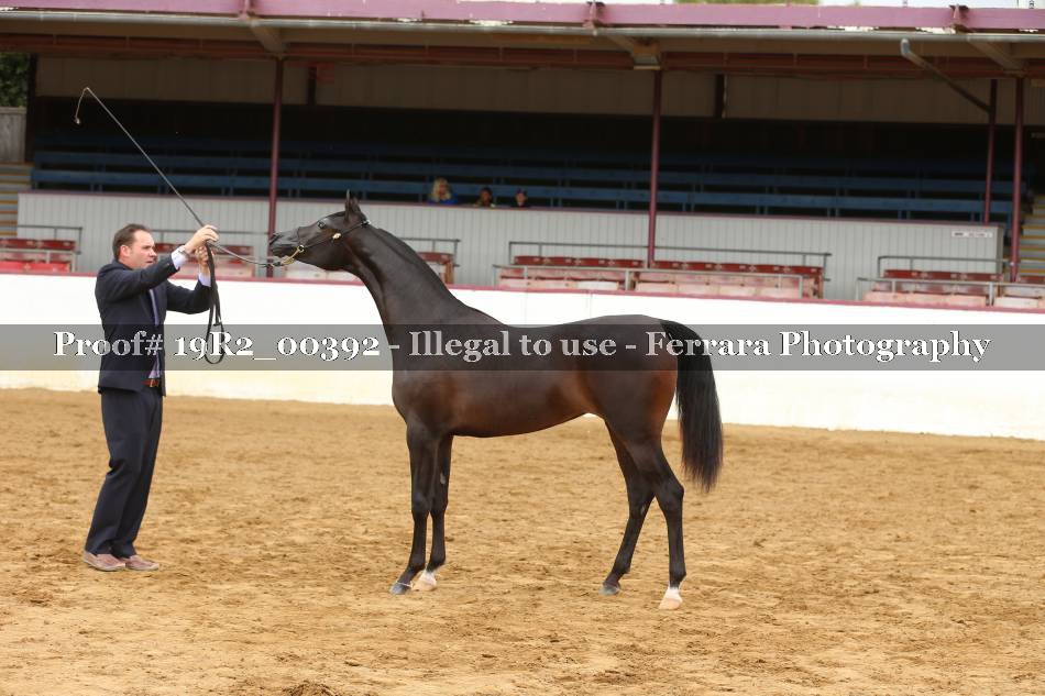 Proof 19R2_00392