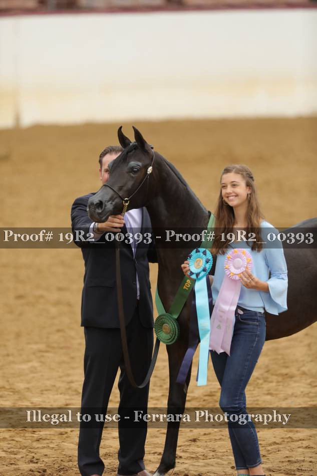 Proof 19R2_00393