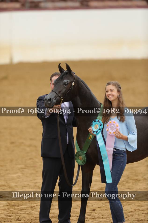 Proof 19R2_00394