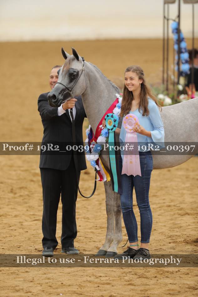 Proof 19R2_00397