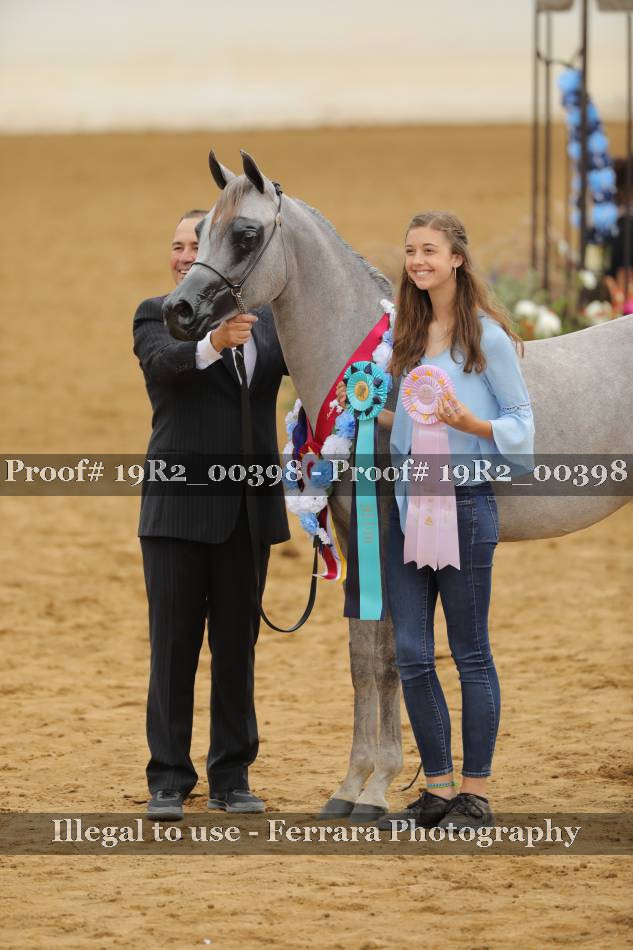Proof 19R2_00398