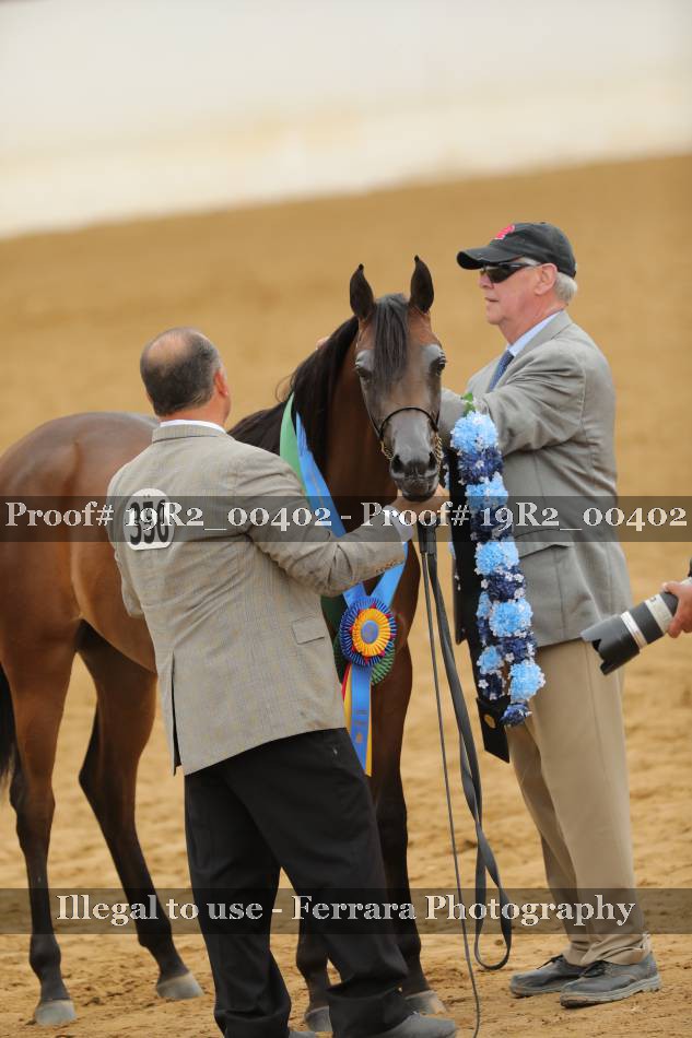 Proof 19R2_00402