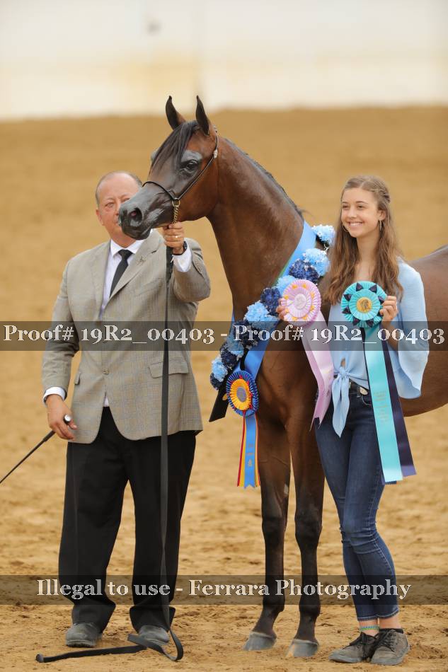 Proof 19R2_00403