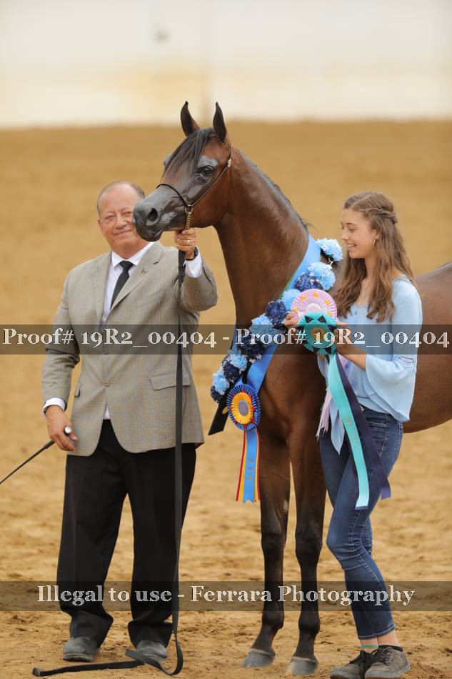 Proof 19R2_00404