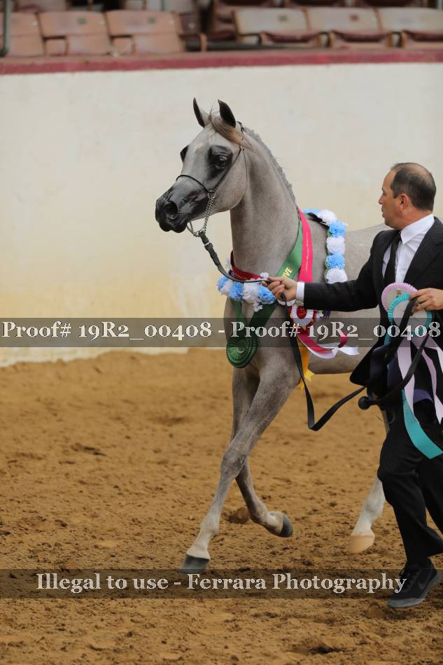 Proof 19R2_00408