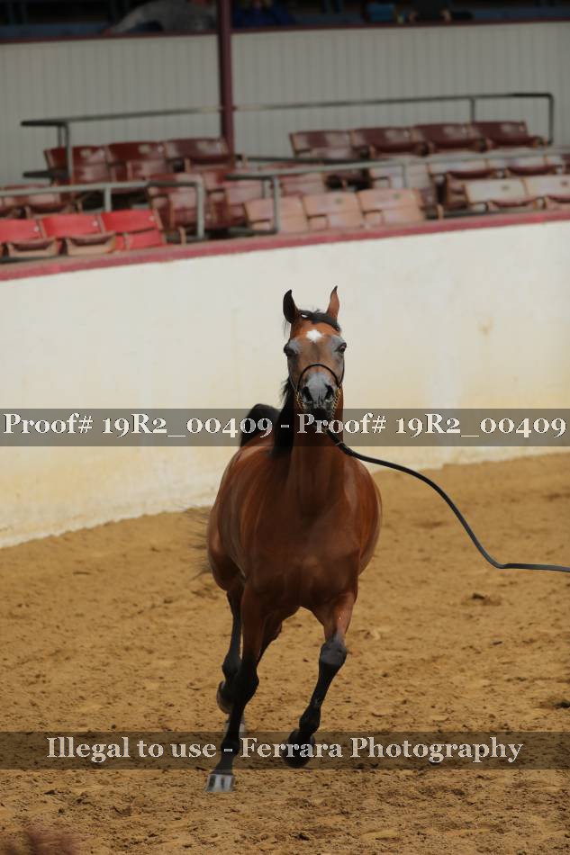 Proof 19R2_00409