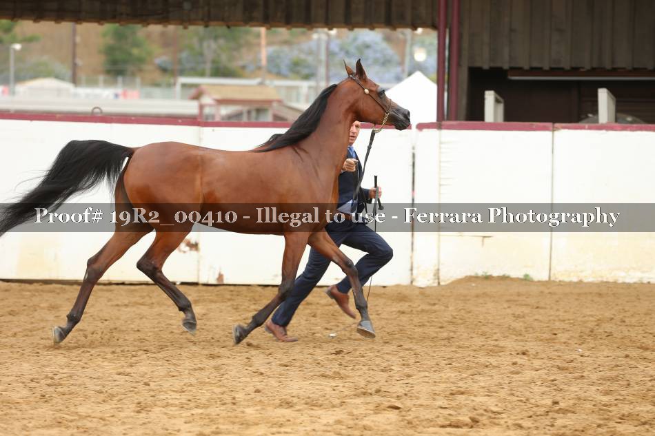 Proof 19R2_00410