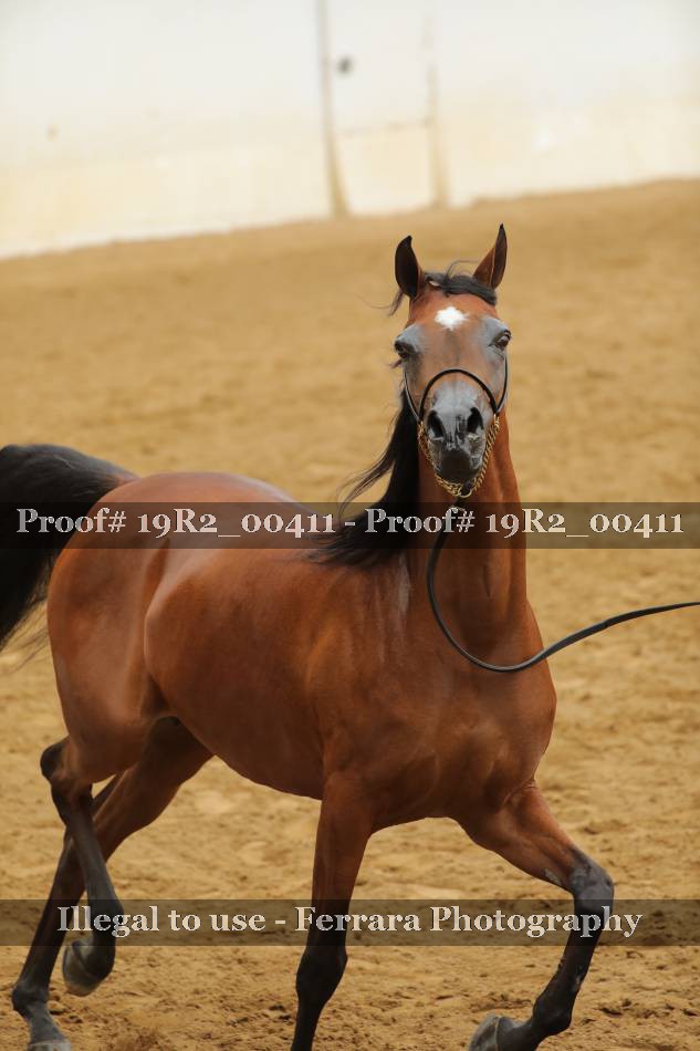 Proof 19R2_00411