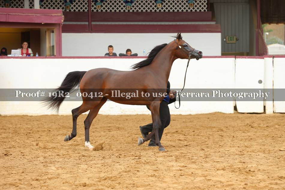 Proof 19R2_00412
