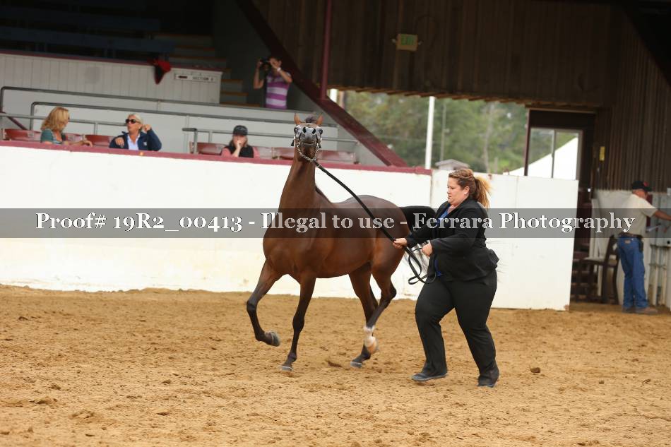 Proof 19R2_00413