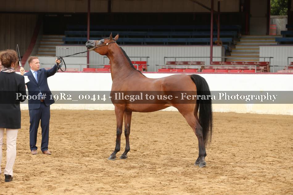 Proof 19R2_00414