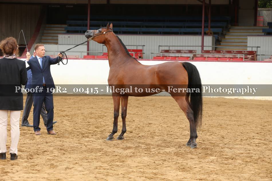 Proof 19R2_00415