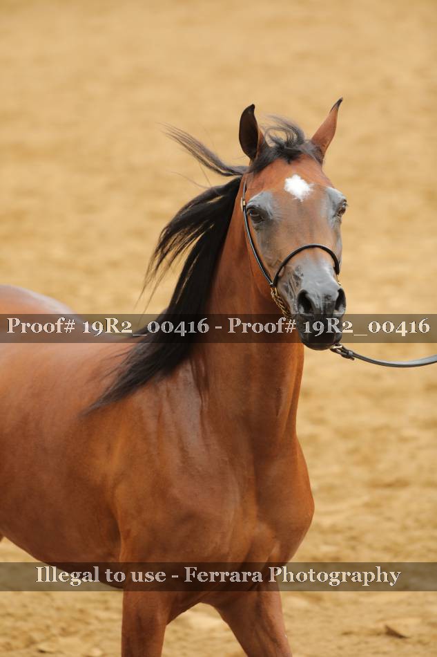 Proof 19R2_00416