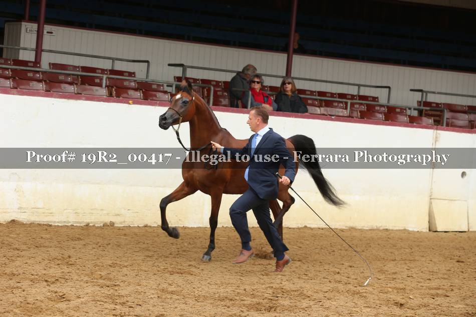 Proof 19R2_00417