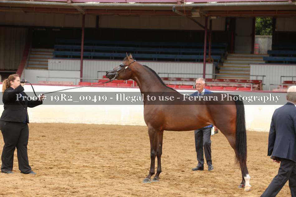Proof 19R2_00419