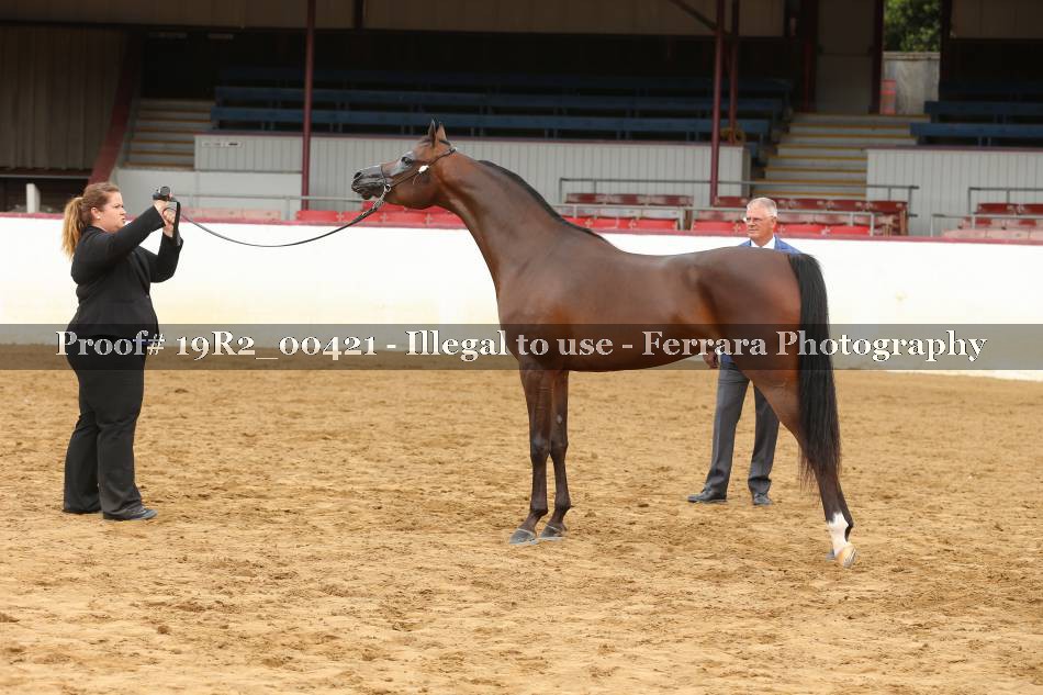 Proof 19R2_00421