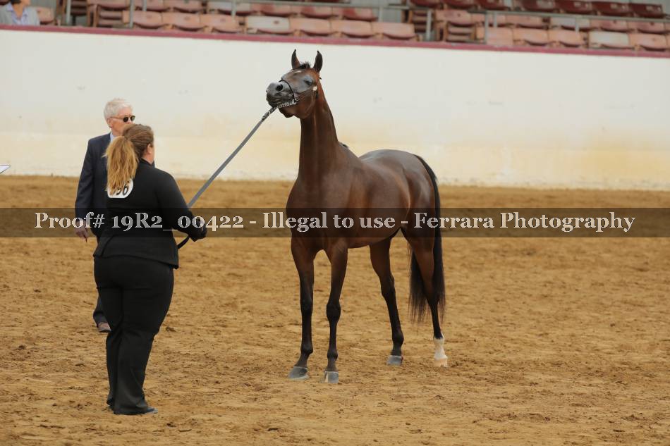 Proof 19R2_00422