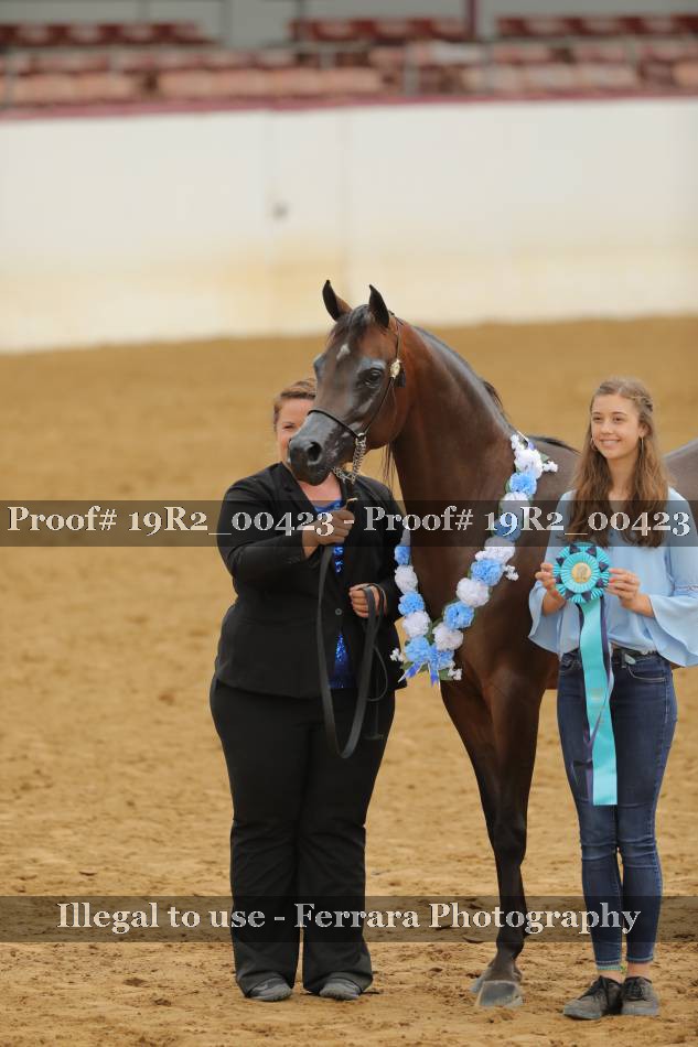Proof 19R2_00423
