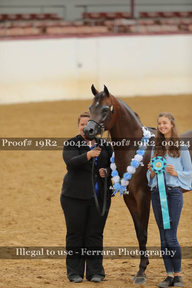 Proof 19R2_00424