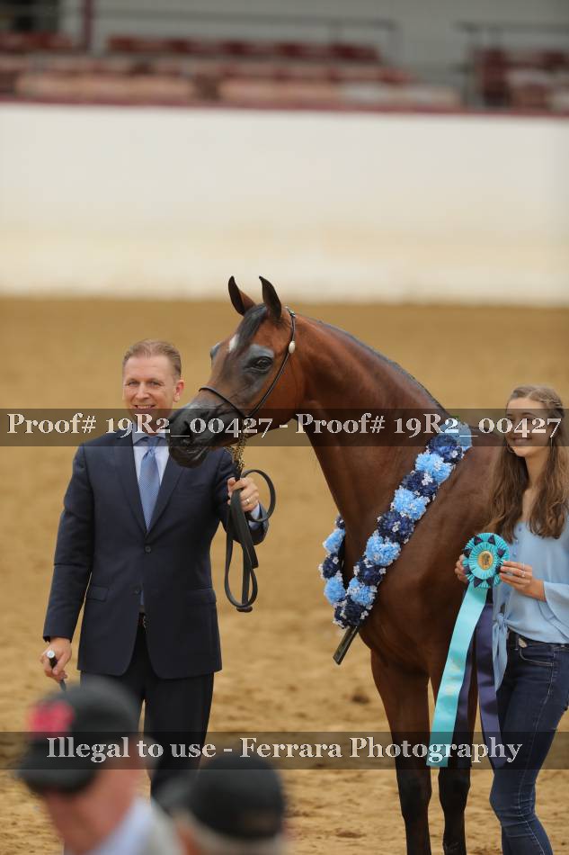 Proof 19R2_00427