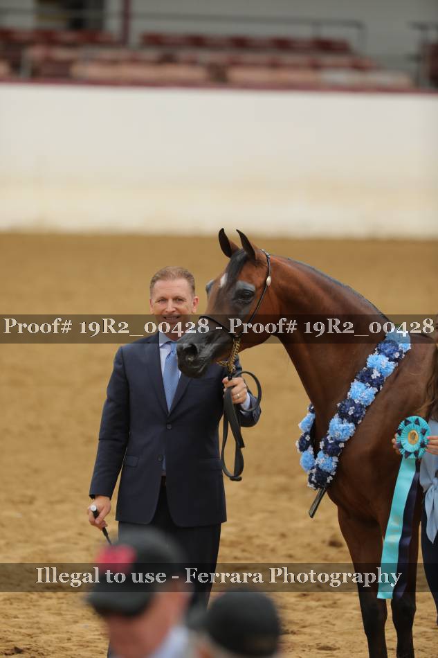 Proof 19R2_00428