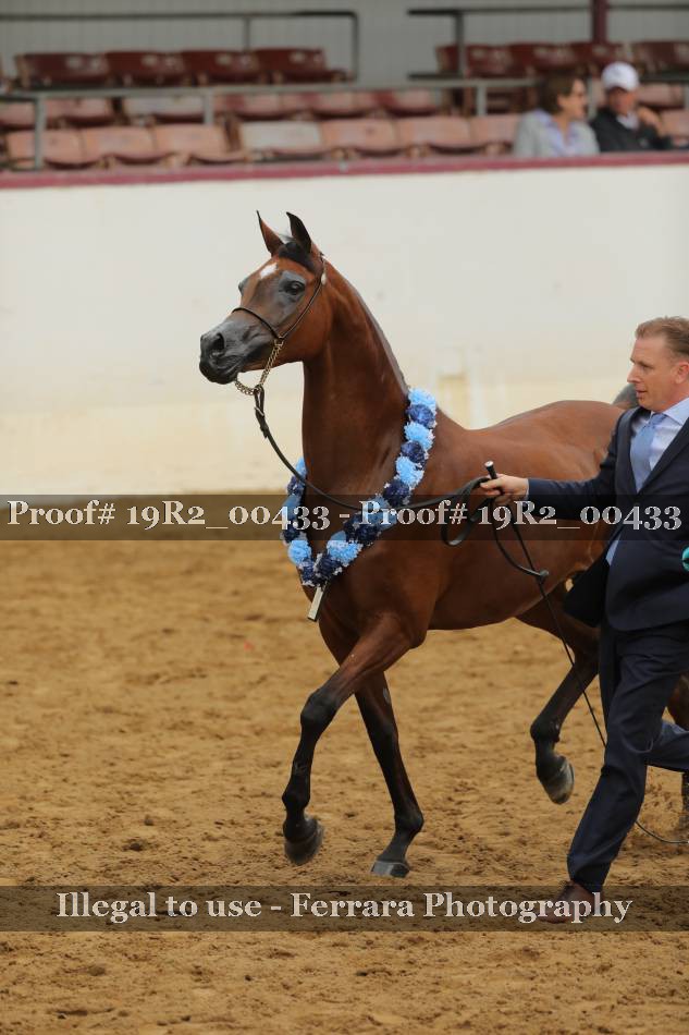 Proof 19R2_00433