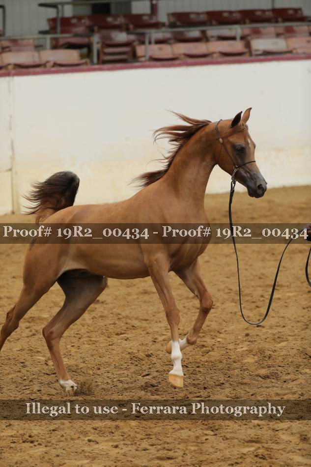 Proof 19R2_00434