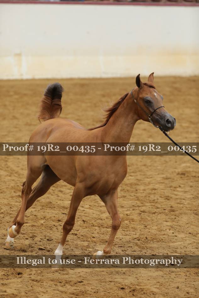 Proof 19R2_00435