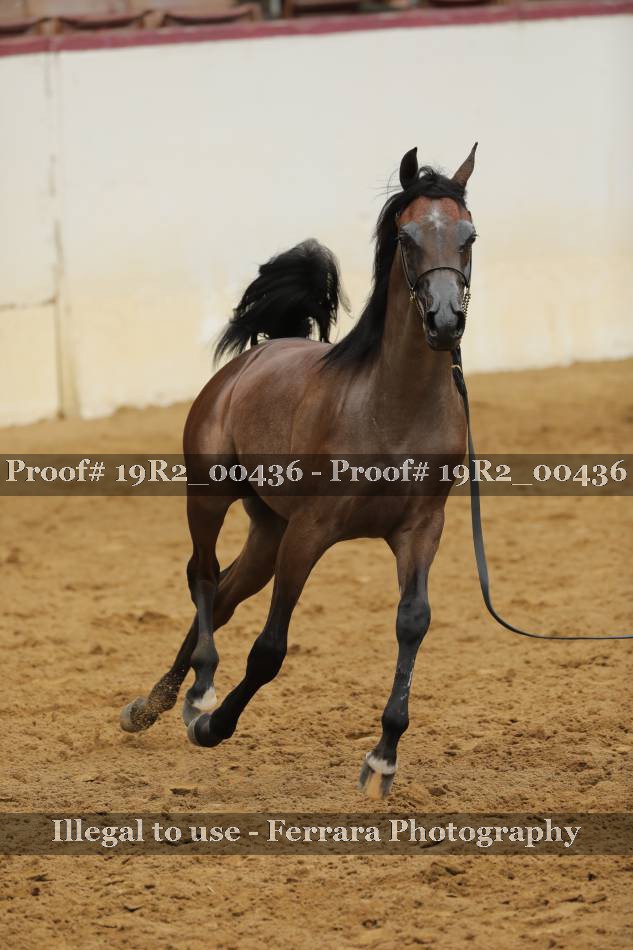 Proof 19R2_00436