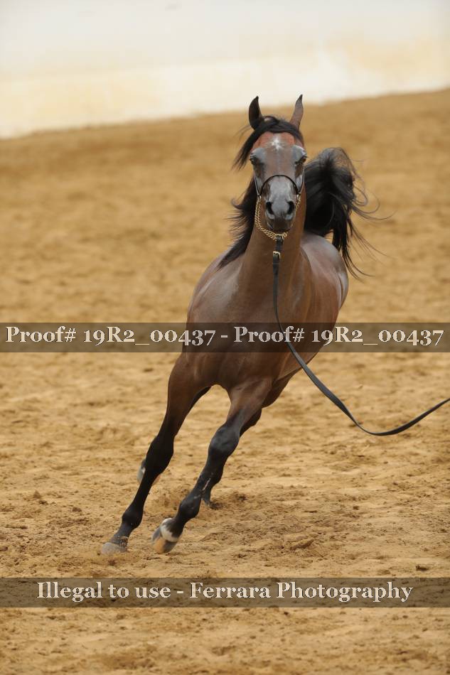 Proof 19R2_00437