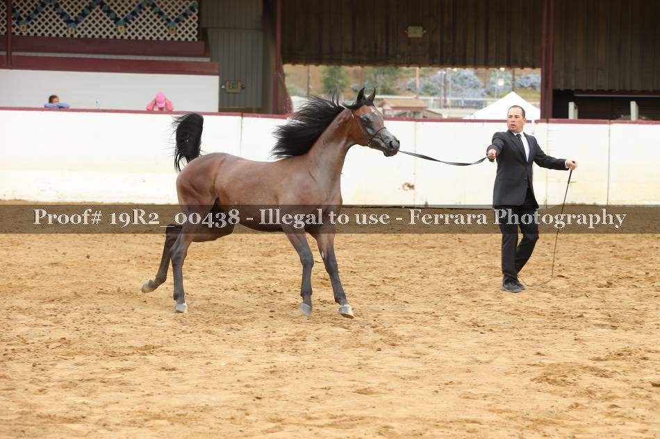 Proof 19R2_00438