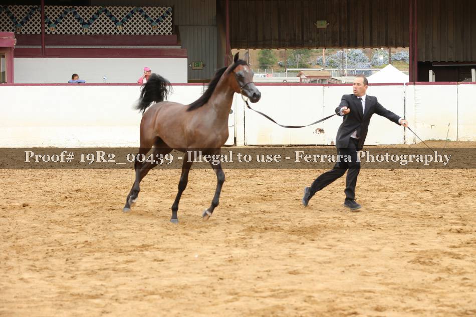 Proof 19R2_00439
