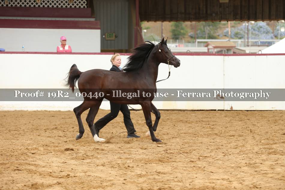 Proof 19R2_00440