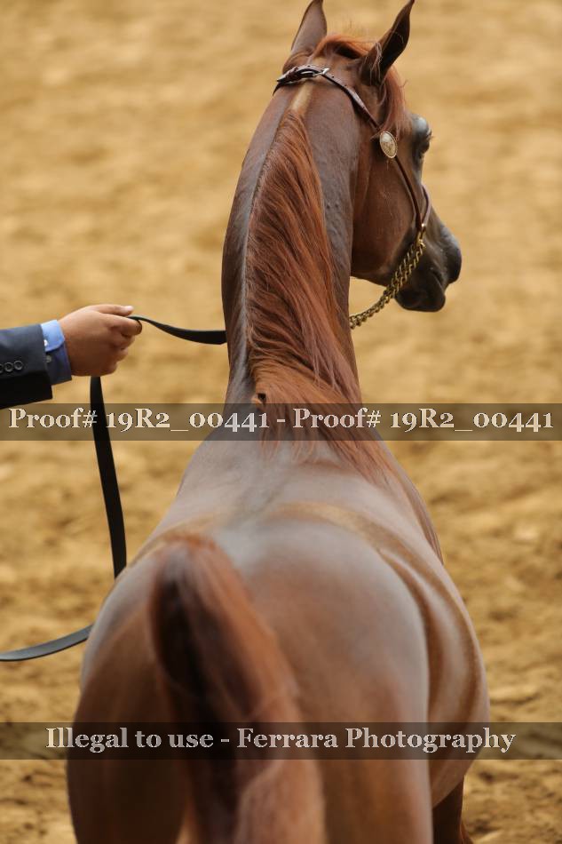 Proof 19R2_00441