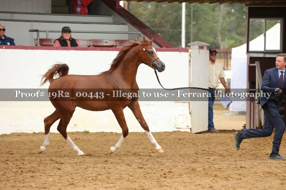 Proof 19R2_00443