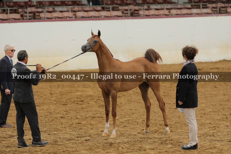 Proof 19R2_00447