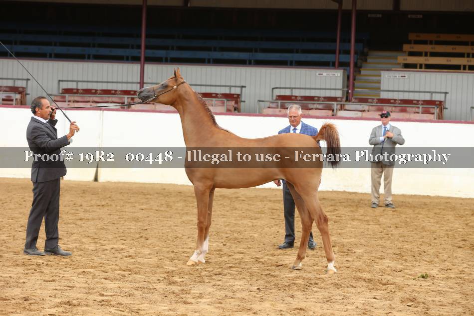 Proof 19R2_00448