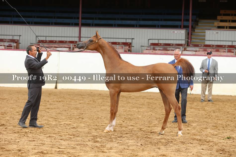 Proof 19R2_00449