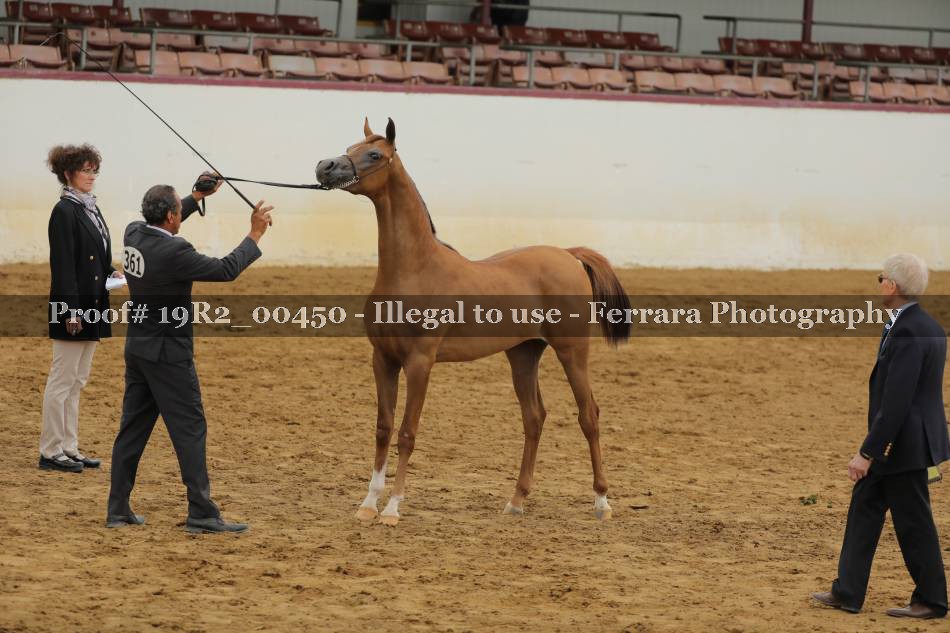 Proof 19R2_00450