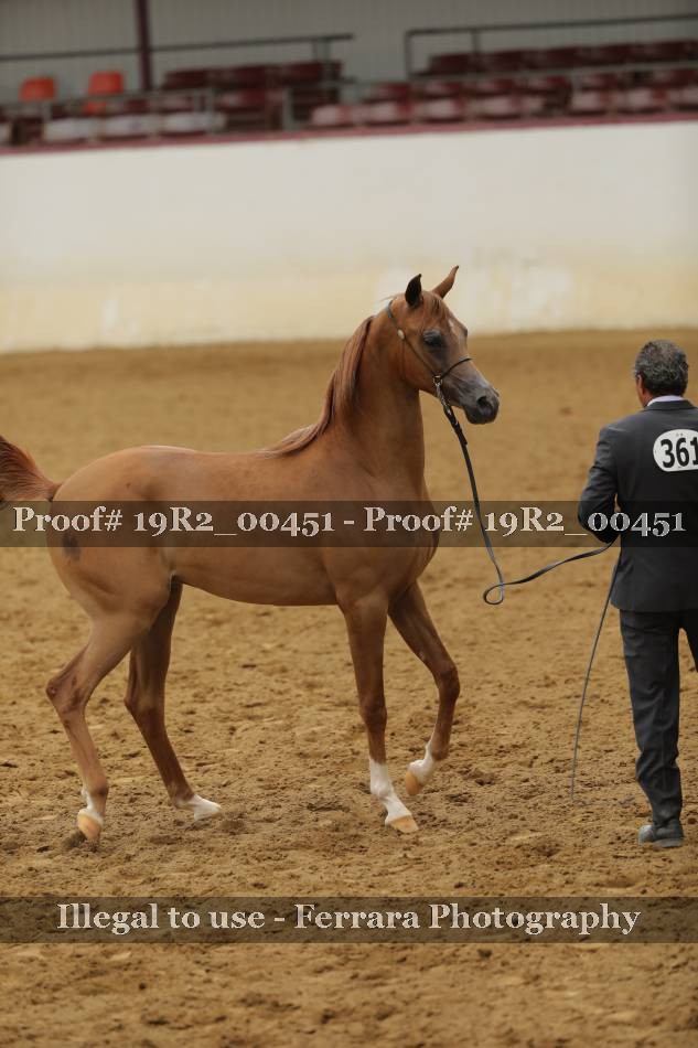 Proof 19R2_00451