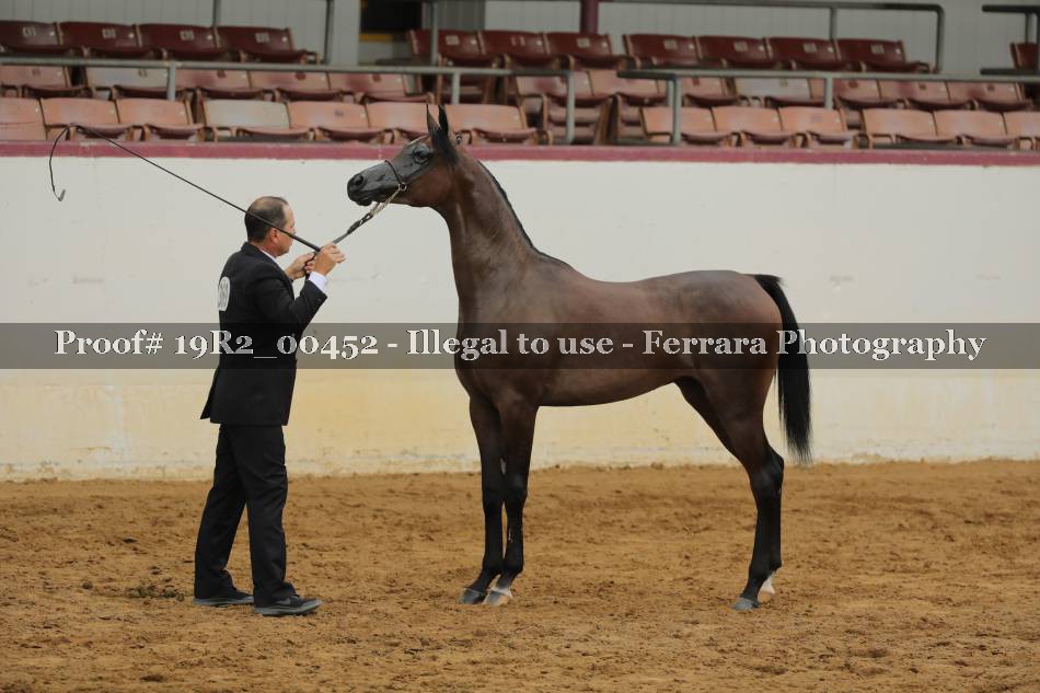 Proof 19R2_00452