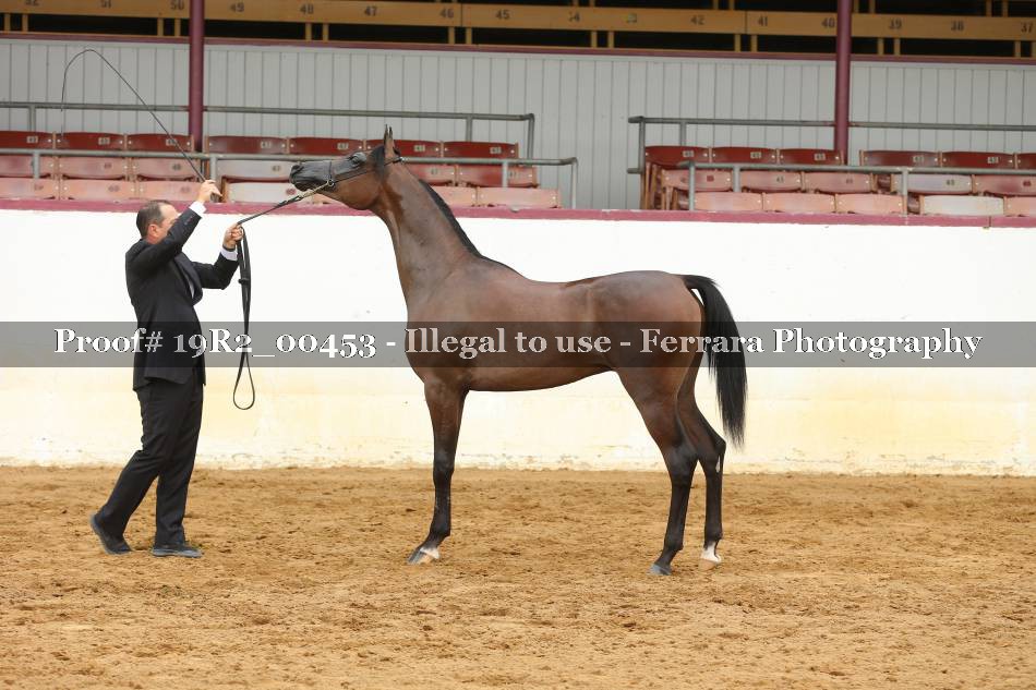Proof 19R2_00453