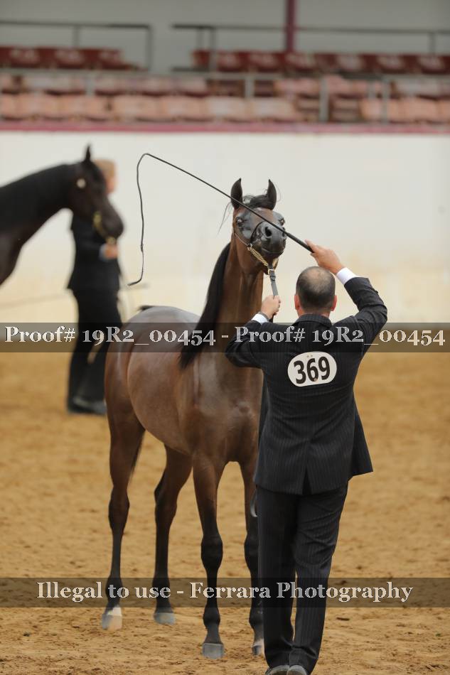 Proof 19R2_00454