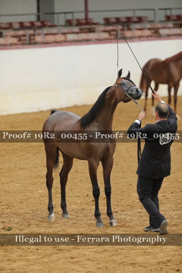 Proof 19R2_00455