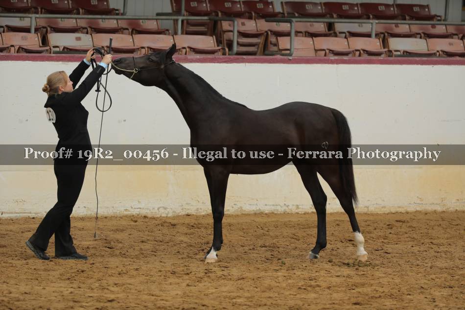 Proof 19R2_00456
