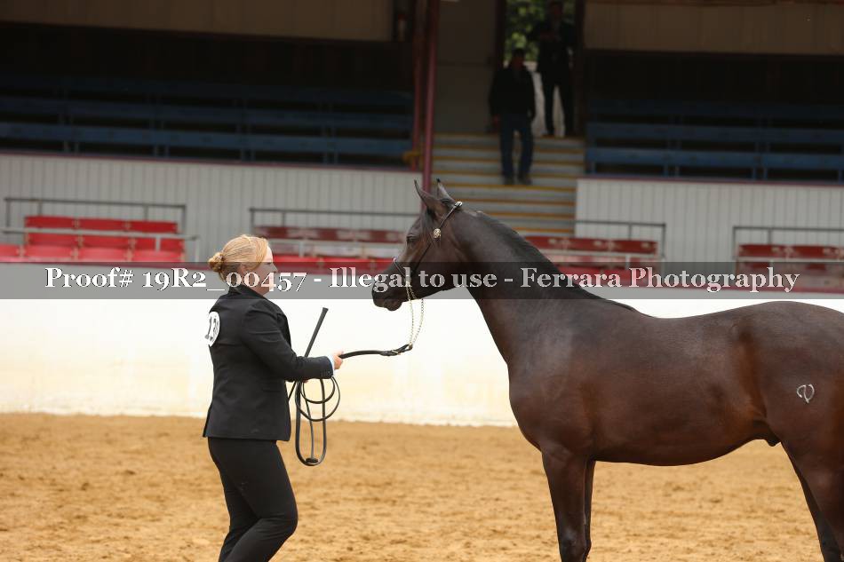 Proof 19R2_00457