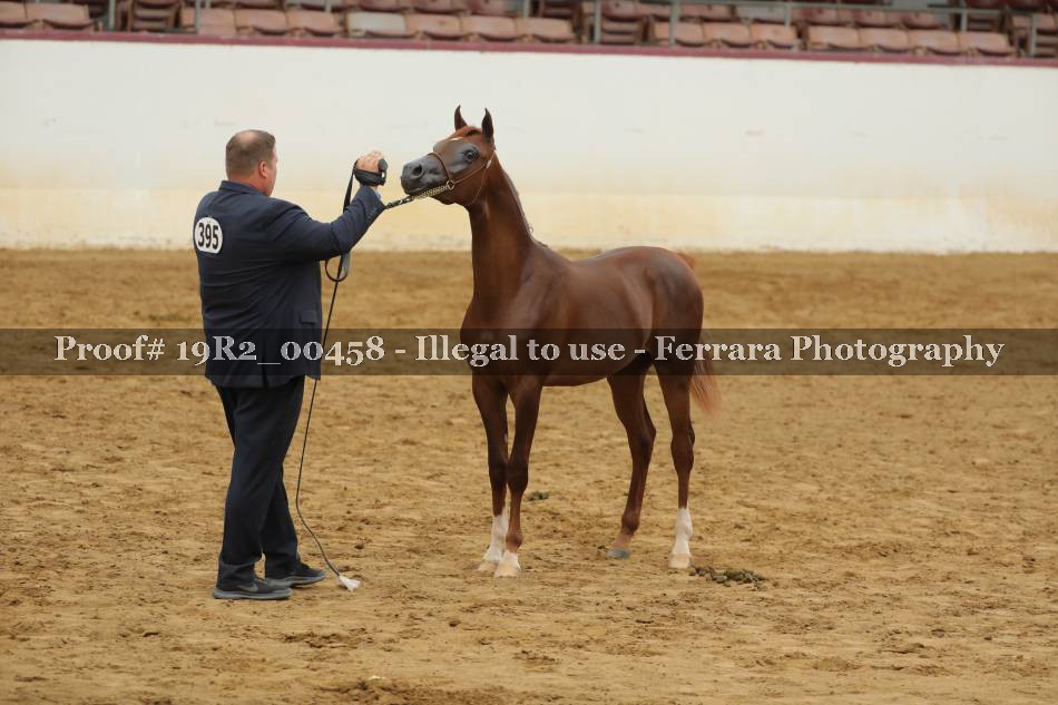 Proof 19R2_00458